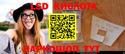 PSILOCYBIN Кунгур